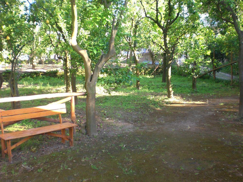 Chalet Paradiso Sorrente Extérieur photo